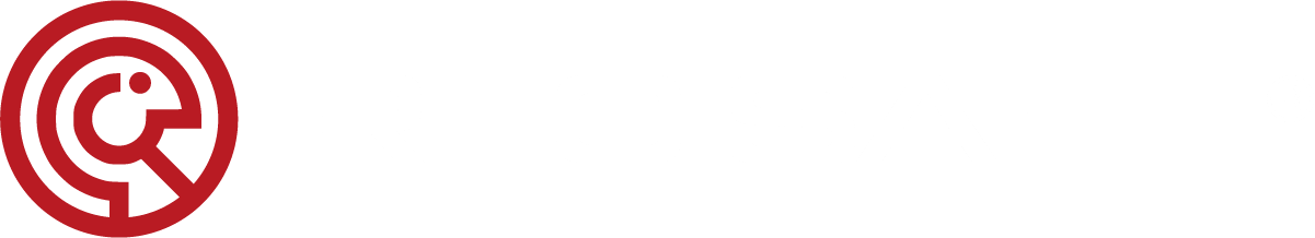 RecSafe